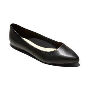 NWT A New Day Pointed Toe Ballet Flats Black